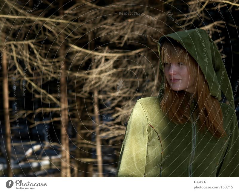 KapuzenMädchen Frau Tracht Samt langhaarig Wald Elfe Fee Tanne Ast Versteck Natur waldwesen waldgeist Zurückblicken