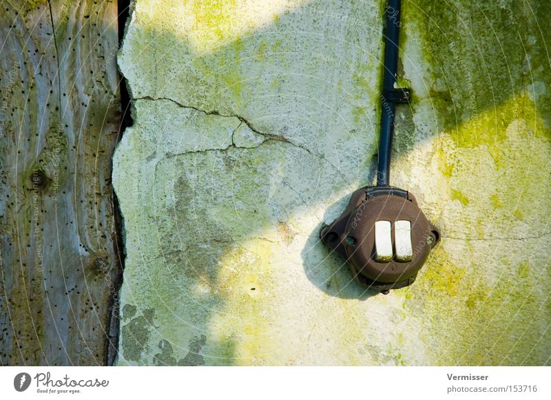 "Hasenzähnchen" Schalter Putz Moos Holz Balken Licht Schatten grün weiß Kabel braun Ruine verfallen Wohnzimmer verwittert. alt