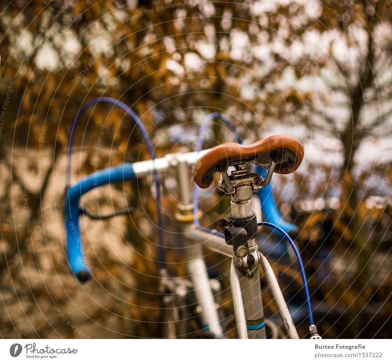 Vintage Fahrrad Stahl blau braun silber Farbfoto Außenaufnahme Tag Licht Unschärfe Rückansicht