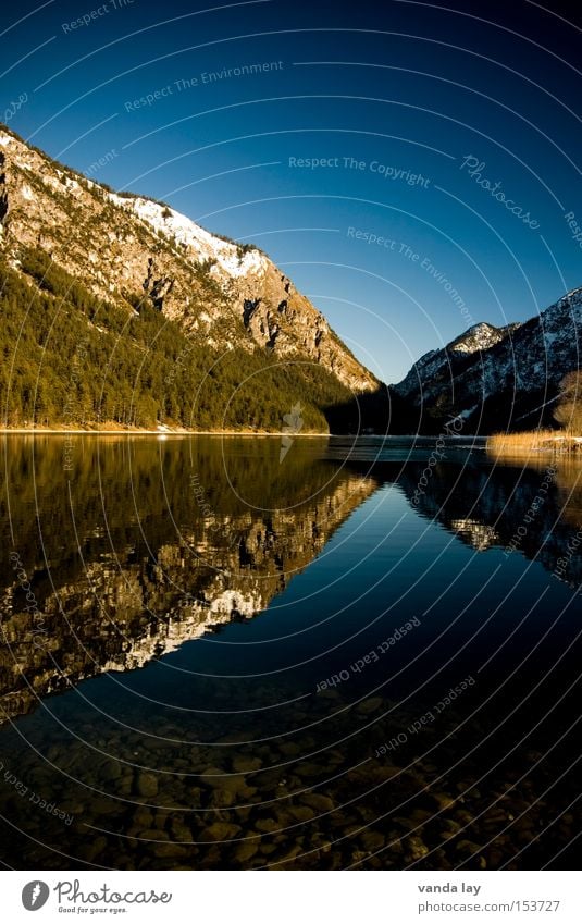 Heiterwanger See VI Berge u. Gebirge Alpen Reflexion & Spiegelung Wald Eis Schnee kalt Winter wandern Ferien & Urlaub & Reisen Himmel blau Tanne Macht