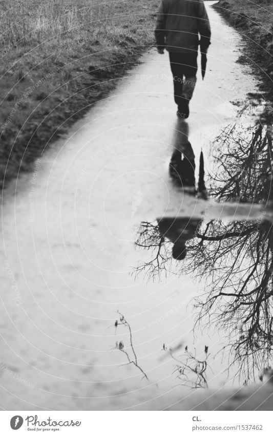 unbekannter und spiegelung Mensch maskulin Mann Erwachsene Leben 1 Umwelt Natur Wasser Herbst Wetter schlechtes Wetter Baum Wiese Fußgänger Wege & Pfade