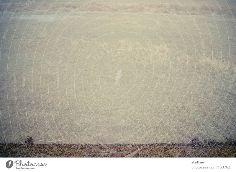 polder Landschaft Natur Baum Wiese Feld Flußauen Polder Nationalpark Untere Oder Winter gefroren grün bleich Doppelbelichtung