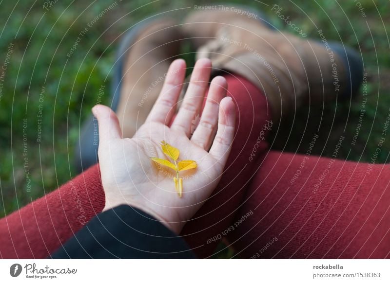 Laubblatt auf Handfläche Herbst Blatt gelb Geborgenheit Farbfoto Außenaufnahme Schwache Tiefenschärfe