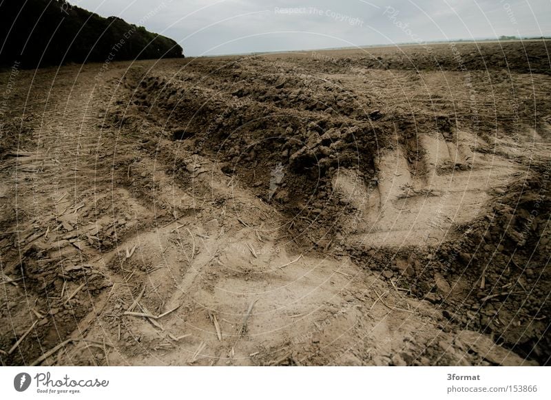 acker Feld Baustelle Spuren Ebene Steppe Landwirtschaft Ernte alt Reifen Fußspur Aussaat Ödland Wüste Abend Vergänglichkeit Erde Sand Abdruck Reifenspuren