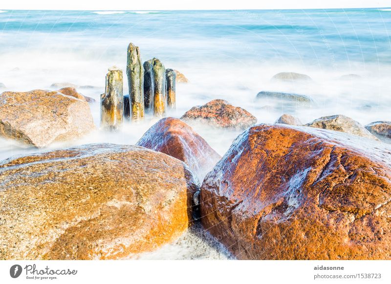 Ostsee Natur Landschaft Wasser Wolkenloser Himmel Winter Schönes Wetter Zufriedenheit achtsam Vorsicht geduldig ruhig Fernweh Farbfoto Außenaufnahme