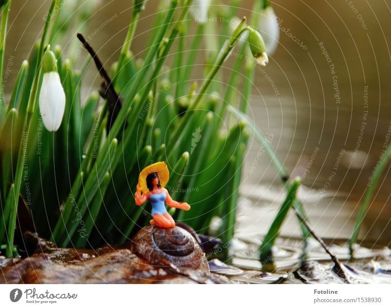 Remixcase | Badetag Umwelt Natur Pflanze Urelemente Wasser Frühling Schönes Wetter Blume Blüte Garten hell nah nass natürlich feminin Miniatur Schneckenhaus