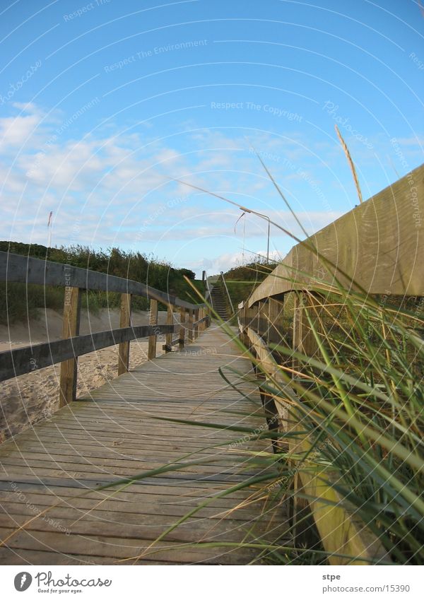 Steg Meer Stranddüne Dänemark Nordsee