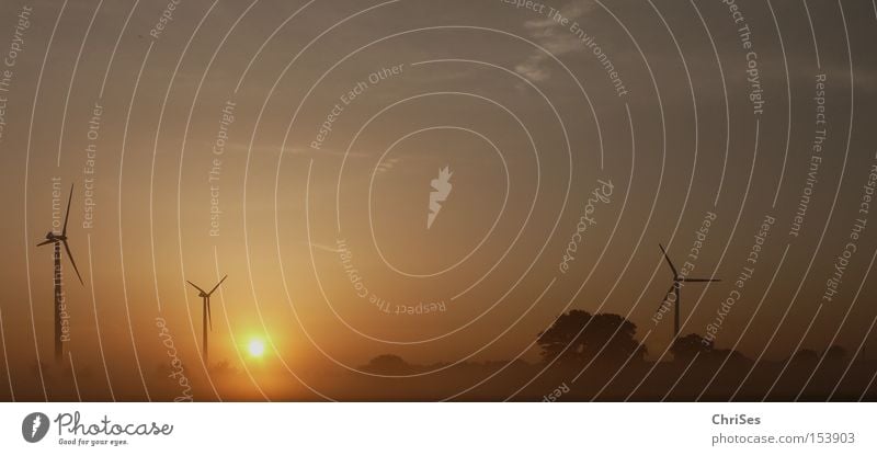 Morgens um 5.36 Windkraftanlage Nebel Sonnenaufgang Tragfläche Elektrizität Energie Erneuerbare Energie Geothermisches Kraftwerk ökologisch Triebwerke Horizont