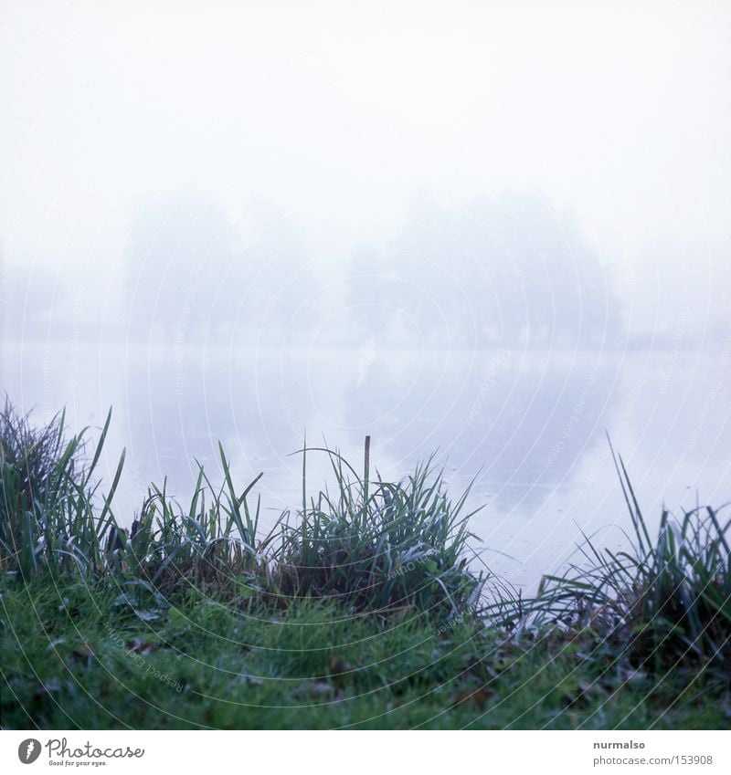 Mystic Morning Heimat Morgen Nebel See Schilfrohr mystisch Mecklenburg-Vorpommern Kriminalroman Seeufer Rasen grün grau Herbst Verhext Burg oder Schloss Gefühle