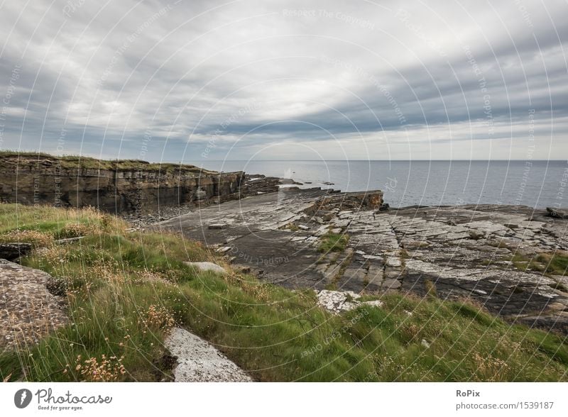 near Wick Wohlgefühl Zufriedenheit Erholung Meditation Ferien & Urlaub & Reisen Freiheit Expedition Camping Sommerurlaub Strand Meer wandern Umwelt Natur