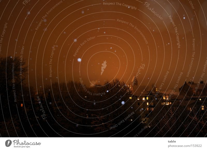 General Winter Frost Nacht Langzeitbelichtung Stadt Haus Vorstadt Fenster Licht Baum kalt dunkel Schneeflocke Rauch Friedrichshagen