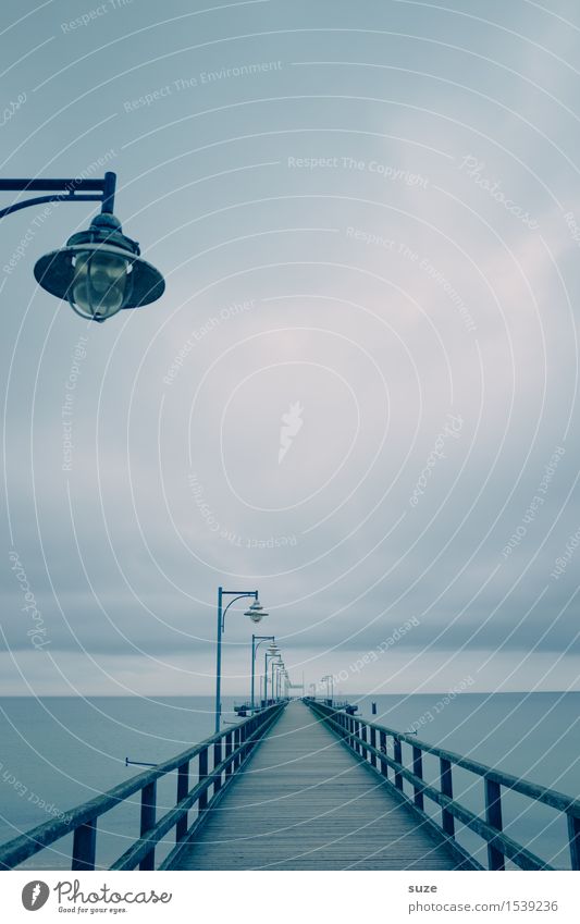 Birne mit Hut ruhig Meer Umwelt Natur Landschaft Luft Himmel Wolken Horizont Klima Küste Ostsee Brücke Wege & Pfade Holz außergewöhnlich fantastisch kalt blau