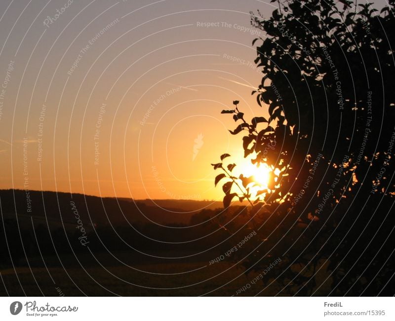 Sonnenuntergang Feld Blatt Berge u. Gebirge