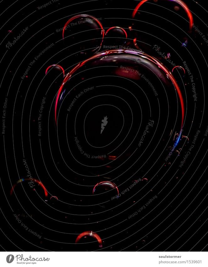 Bubbles Lebensmittel Öl ästhetisch Wasser Seifenblase Geschwindigkeit Momentaufnahme Hoffnung träumen Idee Farbfoto Studioaufnahme Experiment Menschenleer