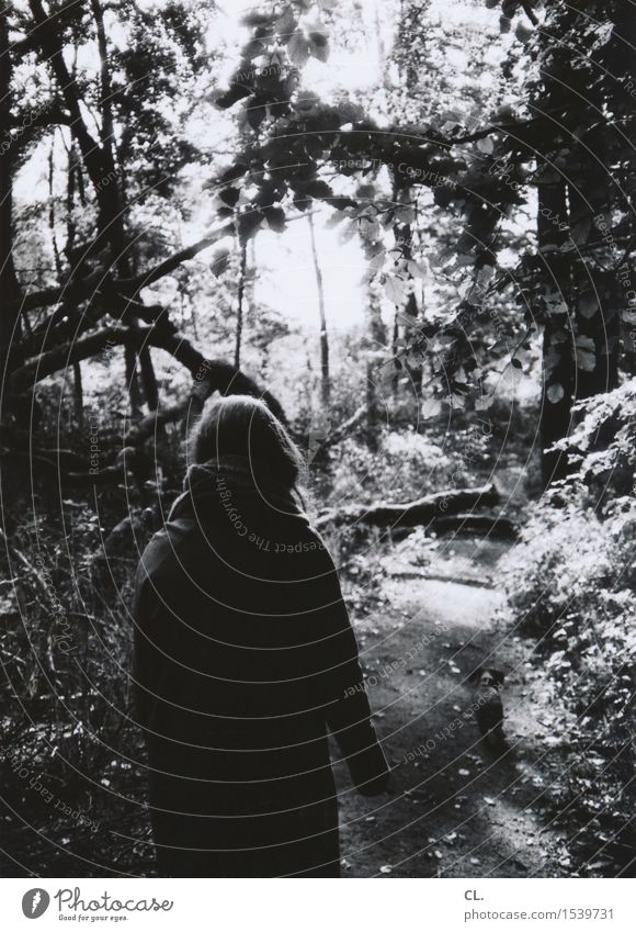 im wald Mensch feminin Frau Erwachsene Leben 1 Umwelt Natur Landschaft Herbst Winter Schönes Wetter Baum Sträucher Wald Mantel Tier Haustier Hund Dackel gehen