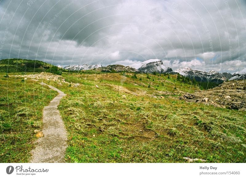 Weg in eine ungewisse Zukunft Wege & Pfade Banff National Park Nationalpark Alberta Kanada Berge u. Gebirge dunkel Gipfel Blumenwiese wandern Unwetter Wolken