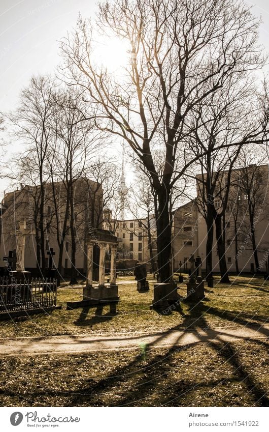 lange Schatten Skulptur Grabmal Säule Berlin Stadt Hauptstadt Haus Park Friedhof Fassade Wahrzeichen Stein dunkel gruselig braun Endzeitstimmung Farbfoto