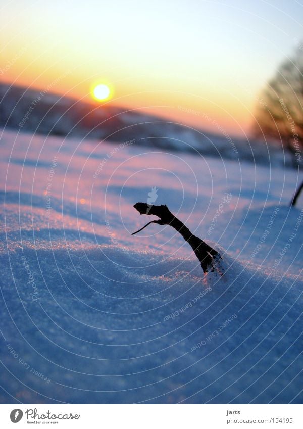 Winterabend Schnee Sonne Sonnenuntergang Abend Abenddämmerung Himmel kalt jarts