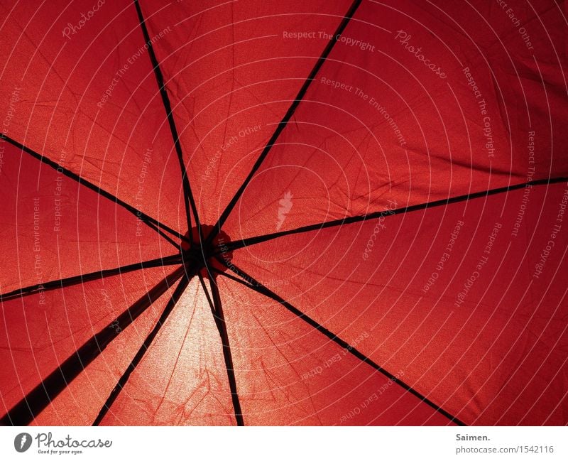 Schirmherrschaft Regenschirm Stimmung Sonnenlicht Sonnenschirm Linie rot Gestell Sommer Schönes Wetter Wärme Schutz Geborgenheit Wetterschutz Farbfoto