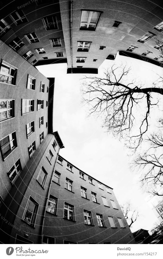 ecke Ecke Hinterhof Block Altbau Haus Stadthaus Fassade Fenster Baum Himmel Fischauge Schwarzweißfoto Orthochrom 25 ASA 16mm