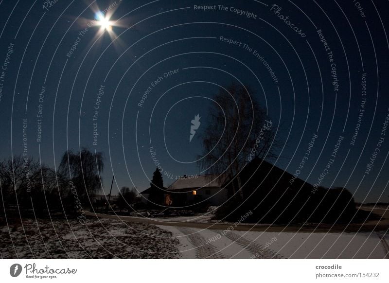 Mondschein Stern (Symbol) Bauernhof Straße Schnee Winter Baum dunkel Romantik Licht Beleuchtung kalt Elektrizität Langzeitbelichtung schön Sternenhimmel