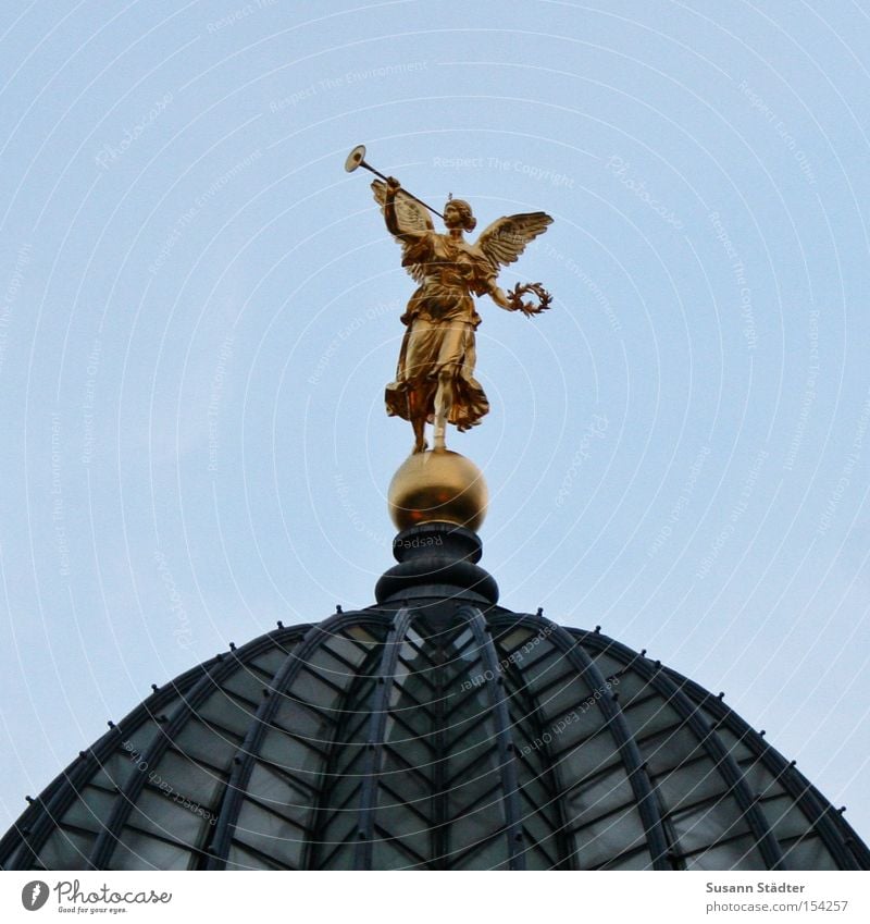 Sur la presse de citron à Dresde Dresden Zitruspresse Kultur Kunst gold Dach Taube Himmel Studium Brühlsche Terrasse Elbe Flussufer Dampfschiff historisch