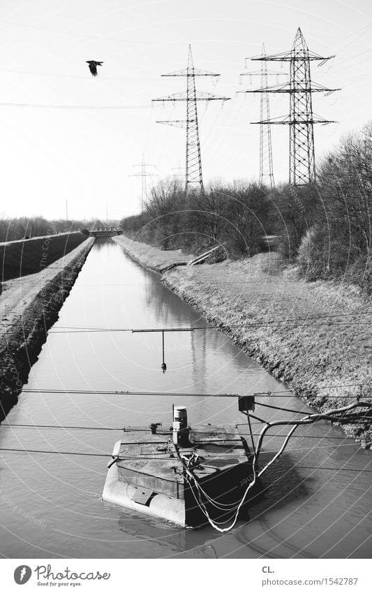 kanal Umwelt Natur Landschaft Wasser Wolkenloser Himmel Schönes Wetter Sträucher Fluss Verkehrswege Schifffahrt Binnenschifffahrt Seil Vogel Strommast