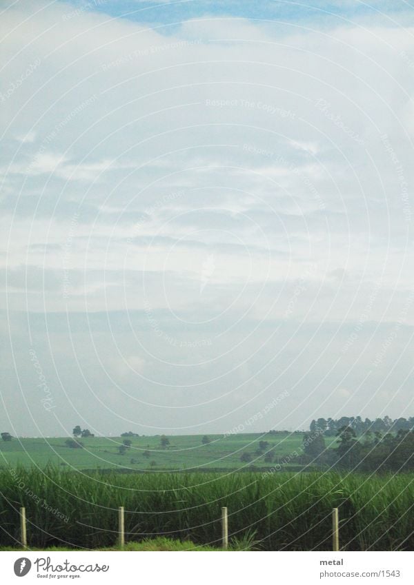 Strassenrand Zaun Wiese Wolken Hintergrundbild Verkehr Straße Landschaft