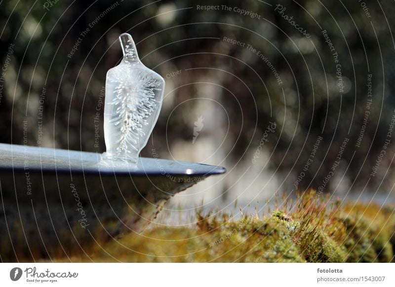 Eis Natur Winter Frost frieren natürlich schön braun gelb grün weiß Vergänglichkeit Eiszapfen gefroren kalt Außenaufnahme Nahaufnahme Menschenleer