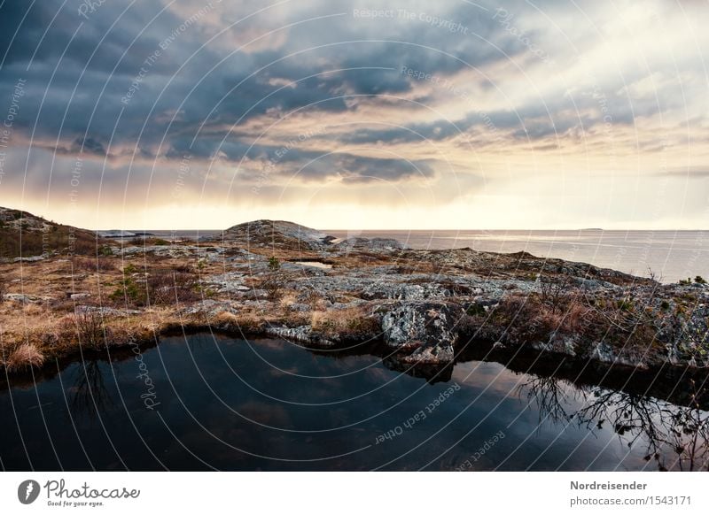 Abendstimmung am Atlantik Ferien & Urlaub & Reisen Tourismus Abenteuer Ferne Meer Natur Landschaft Urelemente Wasser Himmel Wolken Wetter Gras Sträucher Felsen