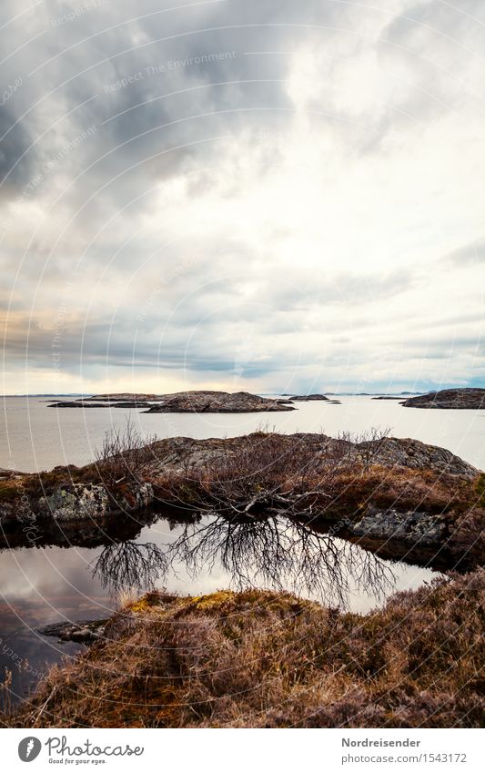 Schären Ferien & Urlaub & Reisen Abenteuer Ferne Freiheit Natur Landschaft Urelemente Luft Wasser Gewitterwolken schlechtes Wetter Gras Felsen Küste Riff Meer