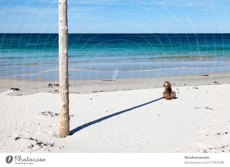 Experiment | Sonnenuhr Ferien & Urlaub & Reisen Ferne Freiheit Sommer Sommerurlaub Sonnenbad Strand Meer Natur Landschaft Wolkenloser Himmel Schönes Wetter