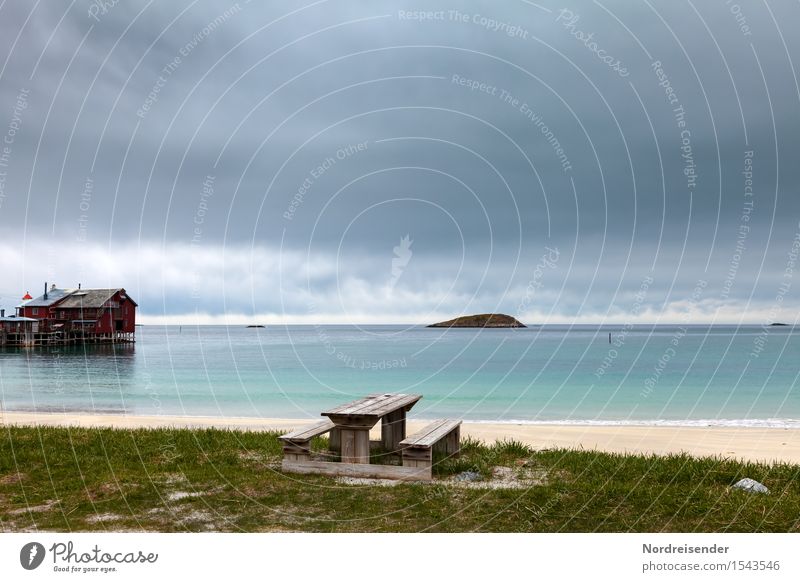 Senja Ferien & Urlaub & Reisen Tourismus Ferne Strand Meer Landschaft Luft Wasser Himmel Wolken Gewitterwolken schlechtes Wetter Regen Gras Wiese Küste Bucht