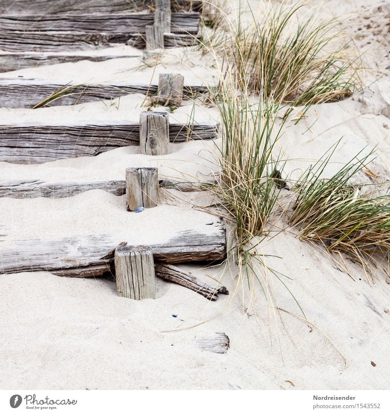 In den Dünen Ferien & Urlaub & Reisen Tourismus Sommer Sommerurlaub Strand Meer Sand Gras Küste Nordsee Ostsee Treppe Wege & Pfade Holz Erholung Freundlichkeit