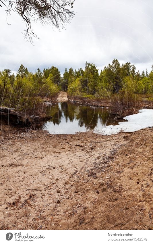 Furt Abenteuer Natur Landschaft Urelemente Erde Sand Wasser Baum Wald Verkehrswege Straße Wege & Pfade fahren bedrohlich Fernweh Einsamkeit Freiheit