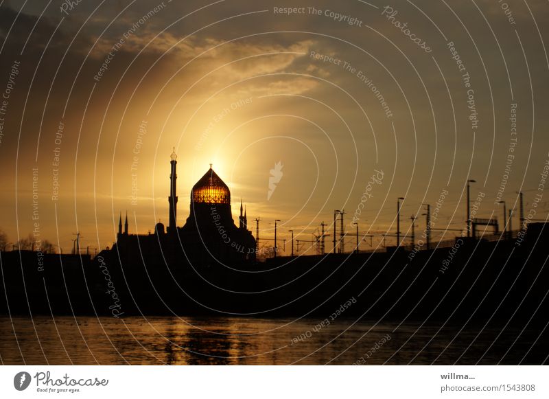 die yenidze in dresden bei sonnenuntergang Elbe Dresden Palast Turm Bauwerk Gebäude Architektur Tabakfabrik Moschee Kuppeldach Sehenswürdigkeit Wahrzeichen