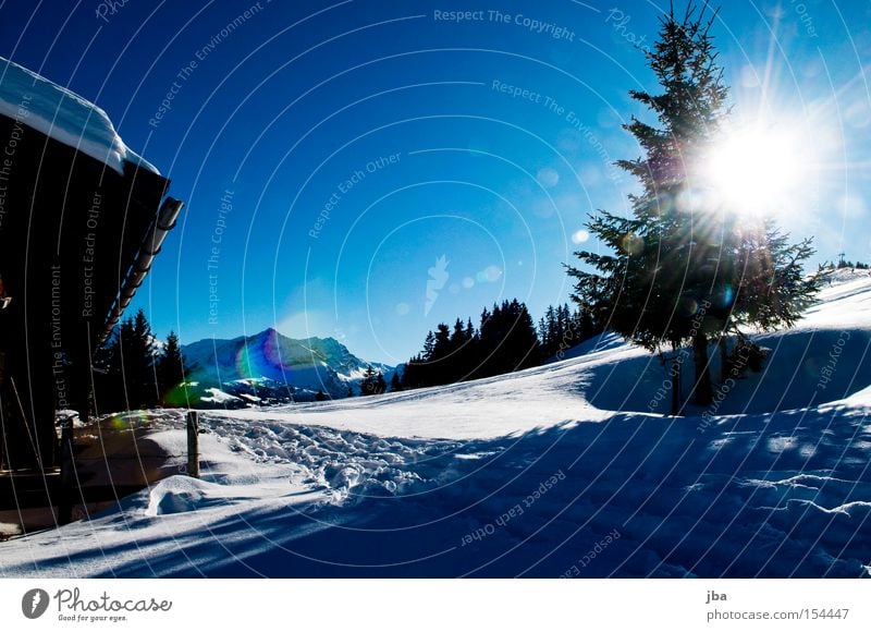 auf ein neues! Schnee Winter Schneelandschaft kalt Schatten Sonne Tanne Berge u. Gebirge Hütte Alm Klarheit Beleuchtung Powder Schönwetter