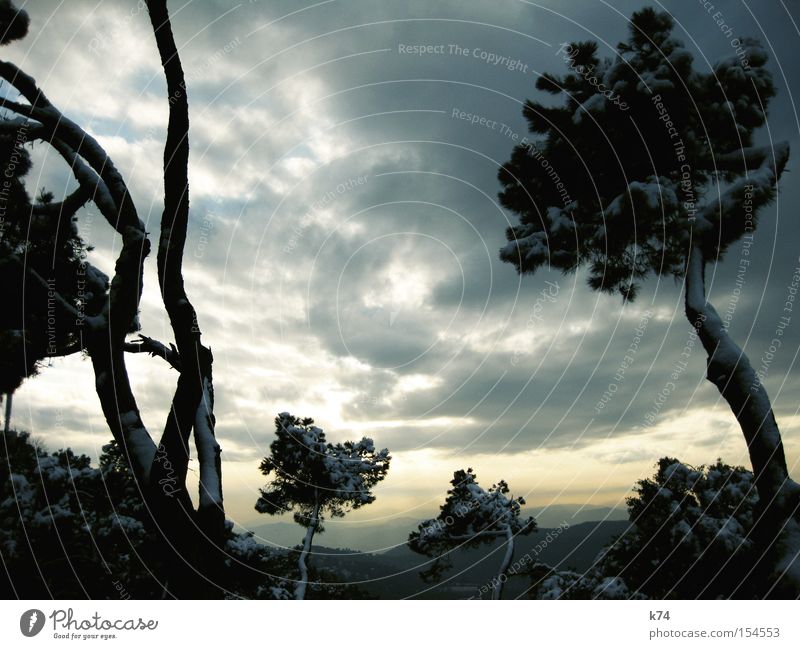 my imaginary japan Landschaft Schnee Berge u. Gebirge Baum Aussicht Winter Ferne Eis Eiszeit kalt Japan