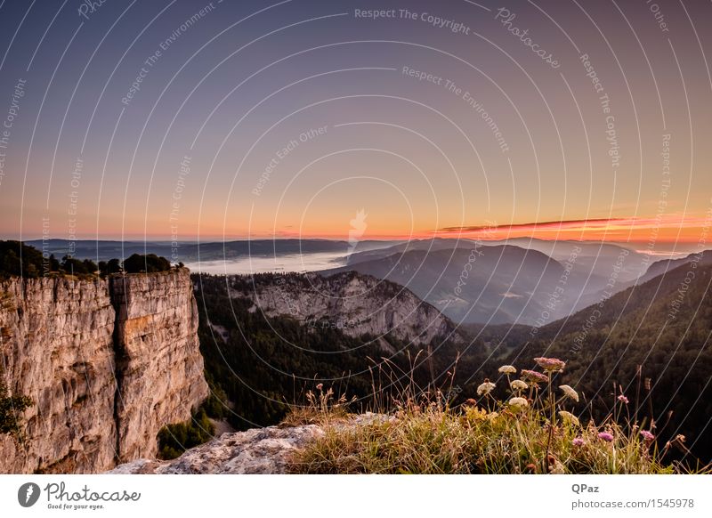 Creux du van Ferien & Urlaub & Reisen Sommer Berge u. Gebirge Natur Landschaft Pflanze Tier Himmel Wolkenloser Himmel Sonnenaufgang Sonnenuntergang Blume Hügel