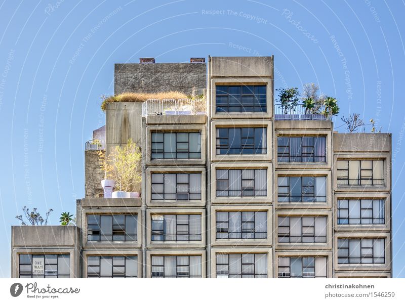 Plattenbau auf Australisch. Sirius Building von Tao Gofers. Himmel Wolkenloser Himmel Pflanze Baum Sydney Australien Stadtzentrum Menschenleer Haus Hochhaus