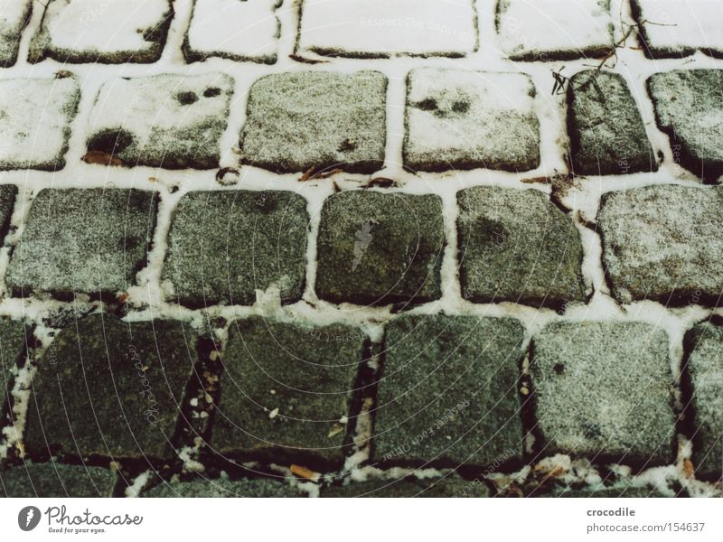 Pflaster Schnee Stein Granit Ast Winter kalt dunkel Wege & Pfade Straße analog Verkehrswege Makroaufnahme Nahaufnahme Pflastersteine