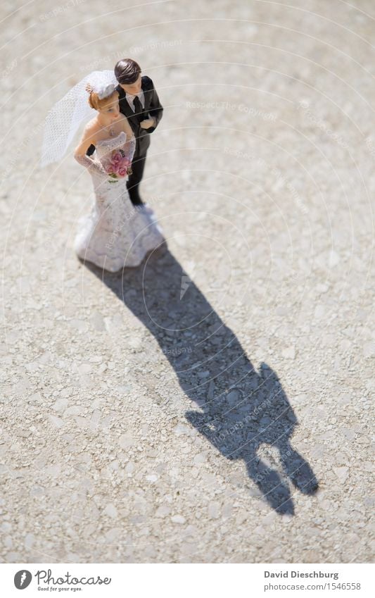 Schattenseiten? Hochzeit Frau Erwachsene Mann Paar Partner Körper Frühling Sommer Schönes Wetter Kleid Anzug Glück Zufriedenheit Vertrauen Geborgenheit