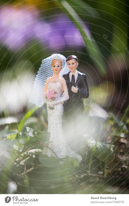 Eine Liebe Hochzeit Frau Erwachsene Mann Paar Partner Körper Frühling Sommer Schönes Wetter Garten Park Kleid Anzug Glück Zufriedenheit Lebensfreude Sicherheit