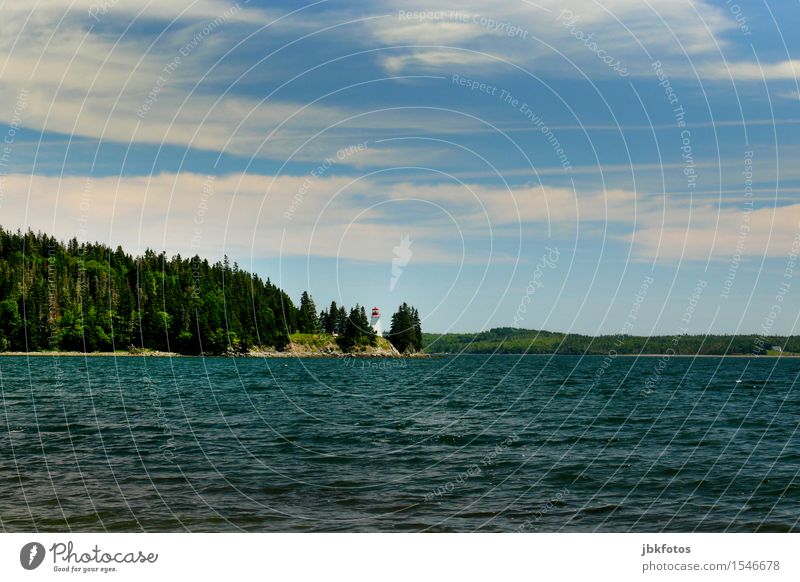 Leuchtturm Umwelt Natur Landschaft Pflanze Urelemente Wasser Himmel Wolken Frühling Sommer Klima Schönes Wetter Baum Hügel Vorfreude Begeisterung