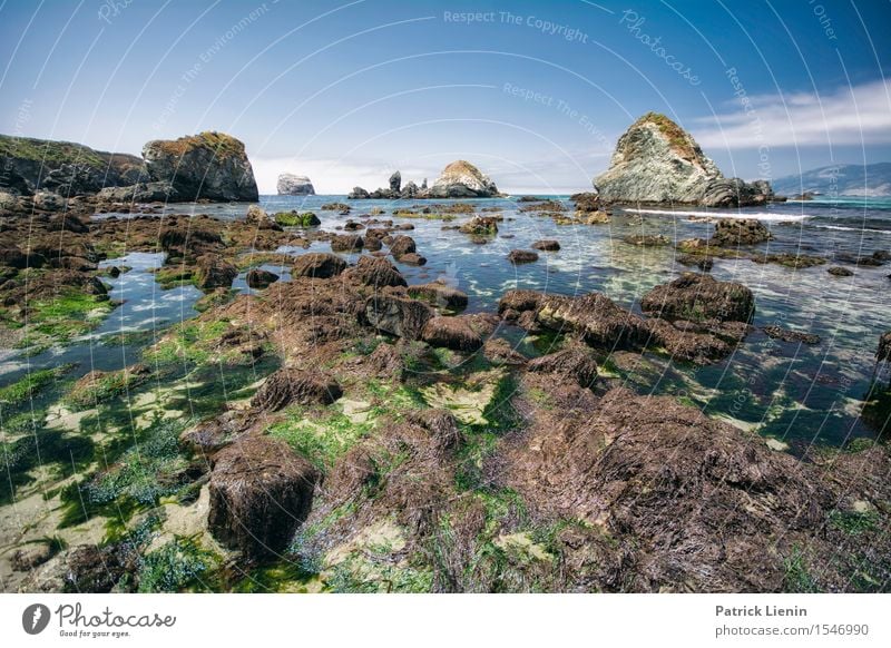 Pacific Coast Zufriedenheit Sinnesorgane Erholung ruhig Ferien & Urlaub & Reisen Tourismus Abenteuer Freiheit Sommer Strand Meer Landschaft Himmel Wolken Klima