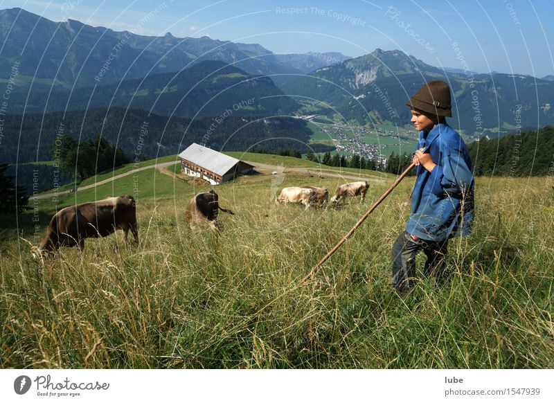 Der Pfister Freizeit & Hobby Ferien & Urlaub & Reisen Tourismus Sommer Berge u. Gebirge wandern Arbeitsplatz Landwirtschaft Forstwirtschaft Umwelt Natur