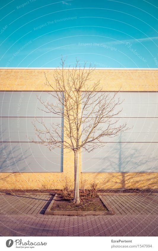 Grünflächenamt Himmel Baum Stadt Haus Bauwerk Gebäude Architektur Mauer Wand Fassade Wege & Pfade blau braun gelb Kondensstreifen Schatten Parkplatz Linie