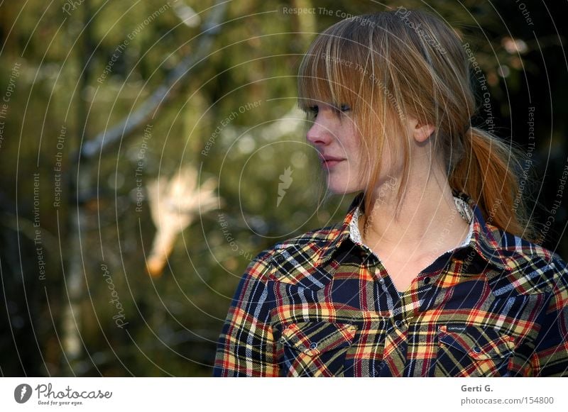 corncob Frau Hemd Wald Maiskolben Baum kariert Muster mehrfarbig Zopf Kommunizieren Gefühle holzfällerhemd ponyfrisur hintergrundunschärfe