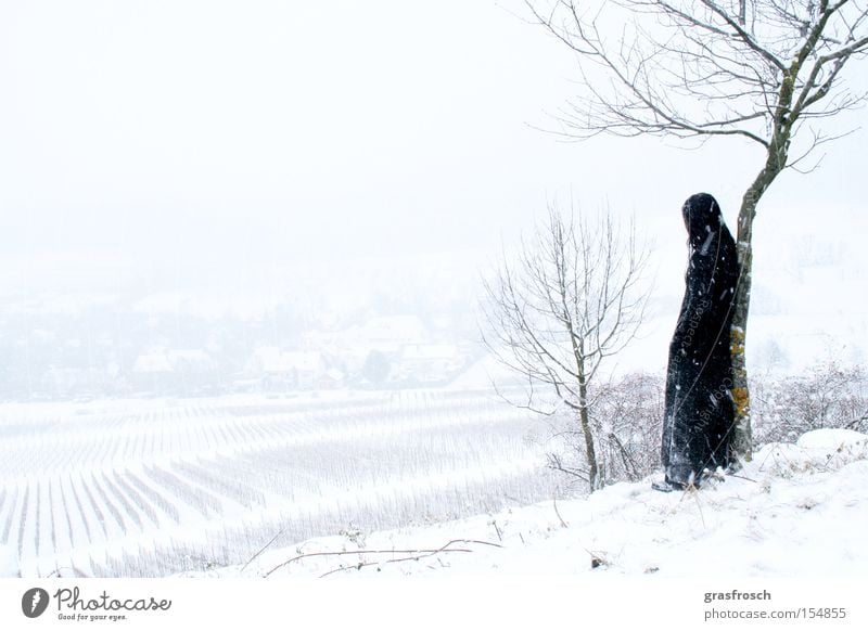 sehnsucht Sehnsucht Winter Grufti Schnee Schneefall Landschaft Weinberg mystisch Romantik Gefühle michaelsberg Fantasygeschichte