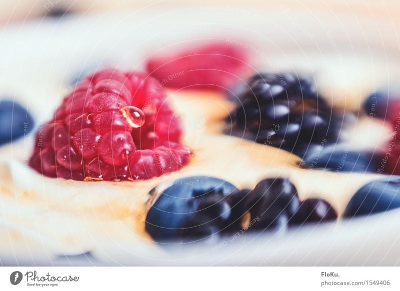 Quark mit Beeren - Lensbaby Style Lebensmittel Milcherzeugnisse Frucht Dessert Ernährung Frühstück Bioprodukte Vegetarische Ernährung Diät frisch Gesundheit